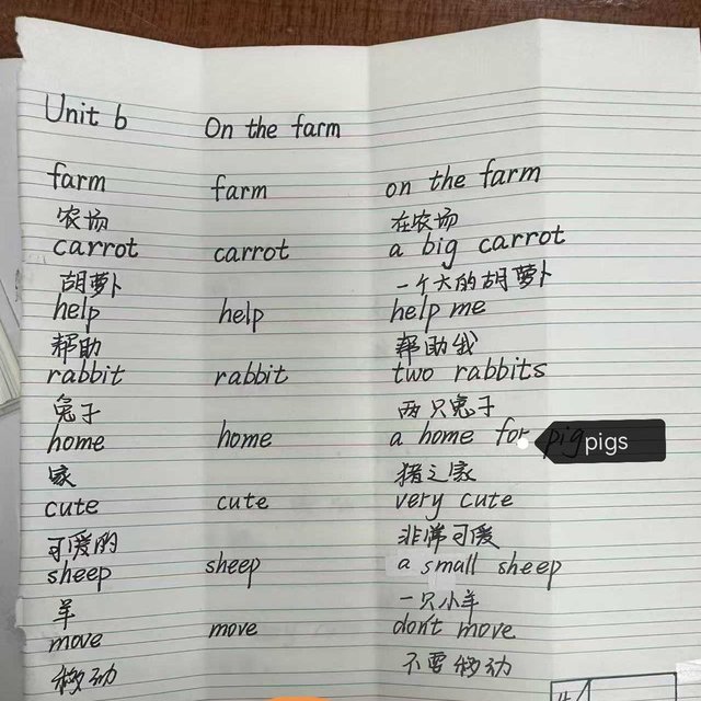 家教